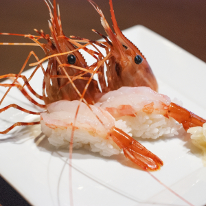 Sweet Shrimp / Amaebi